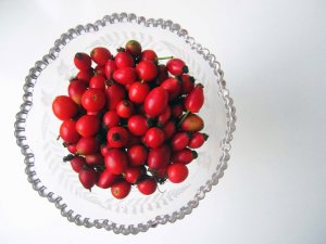 grazer rosehip syrup 02