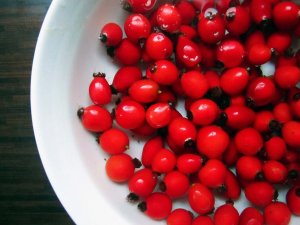 grazer rosehip syrup 03